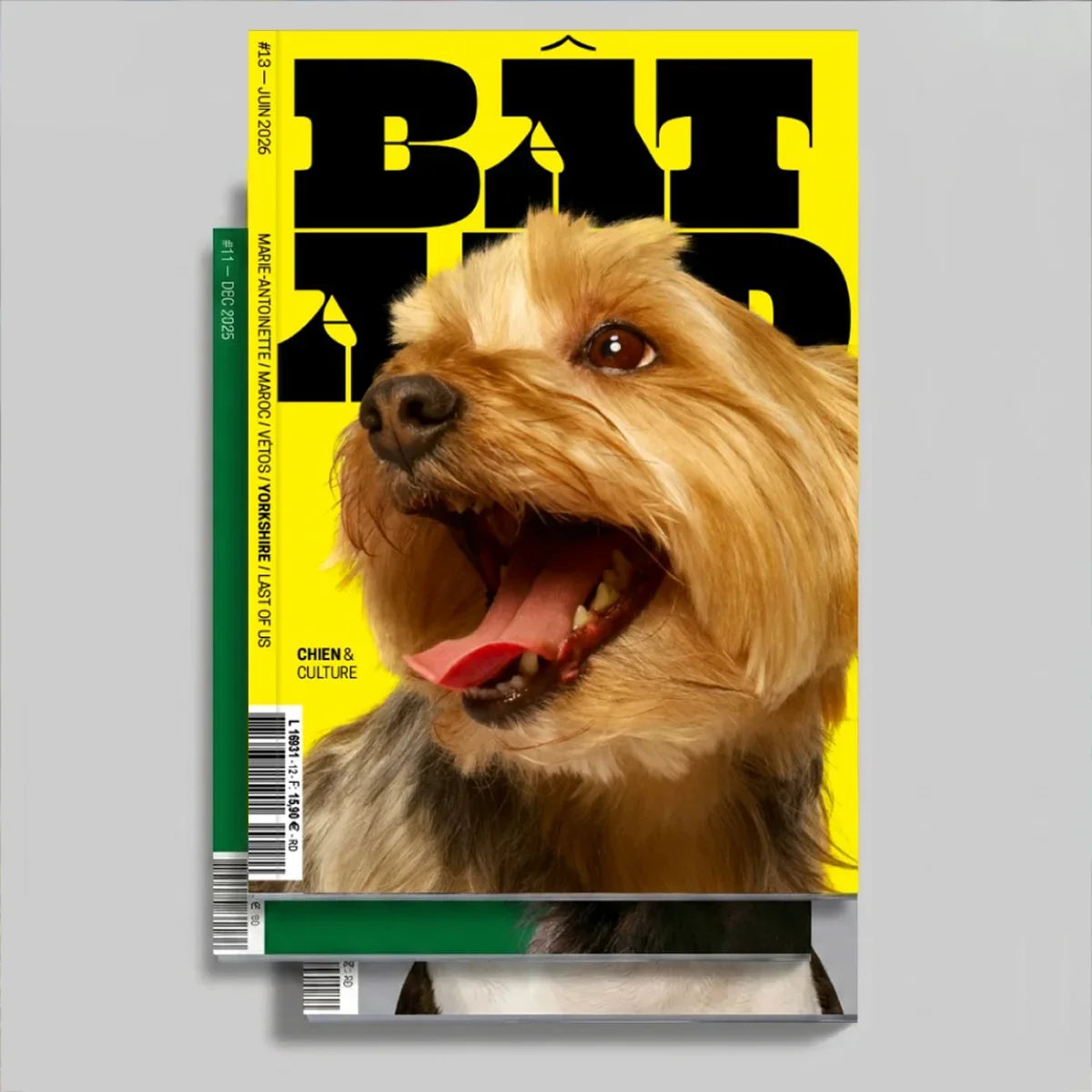 Livres, puzzles et papeterie autour du chien