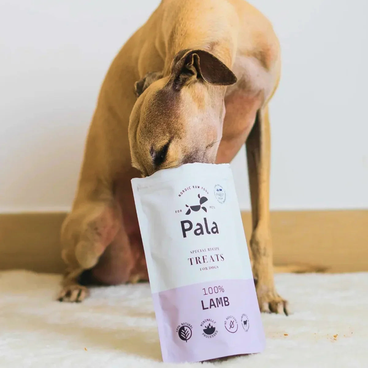 Friandises, mastications et snacks pour chien