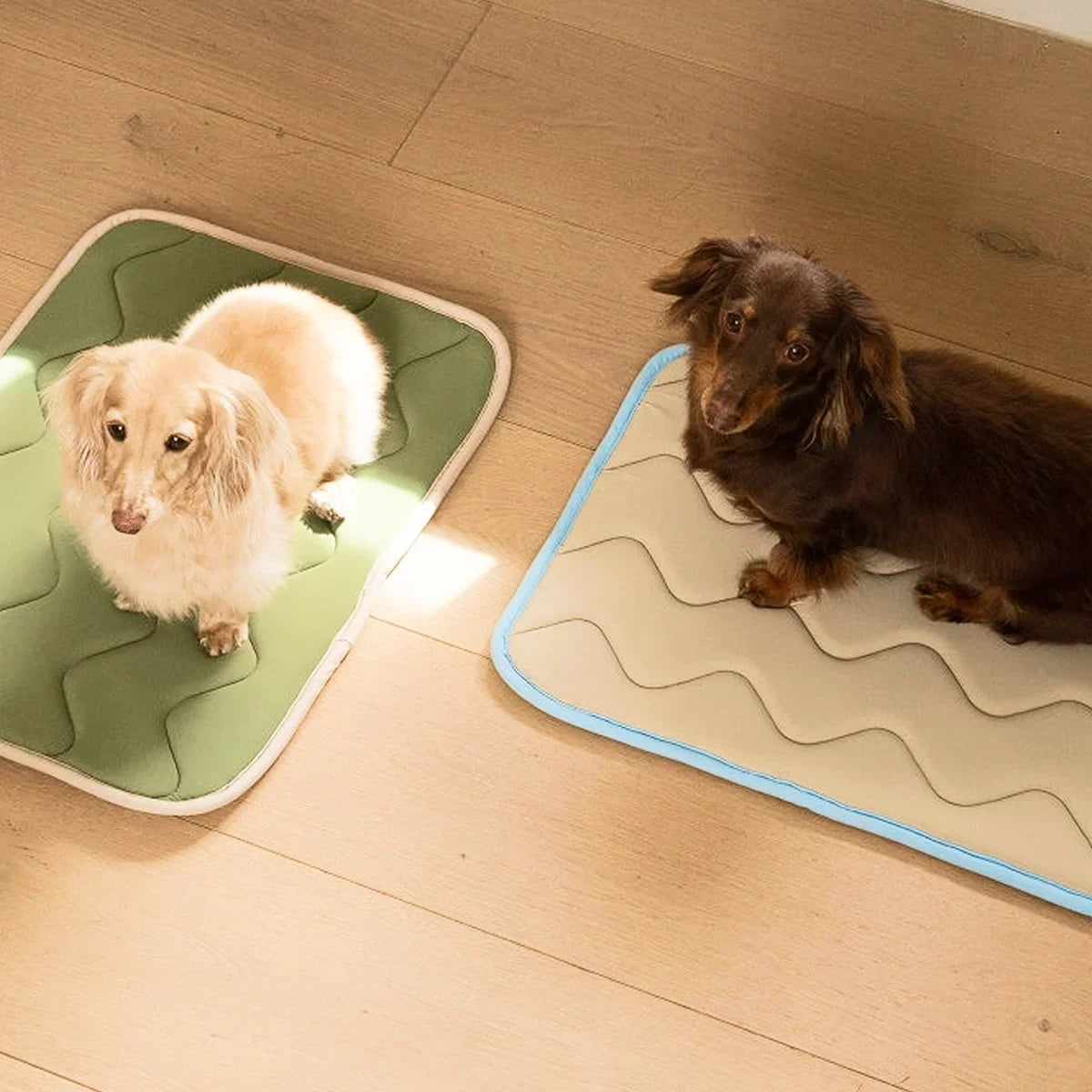 Lits, paniers et coussins pour chien