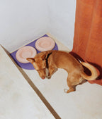 Gamelle en céramique rose pour chien M