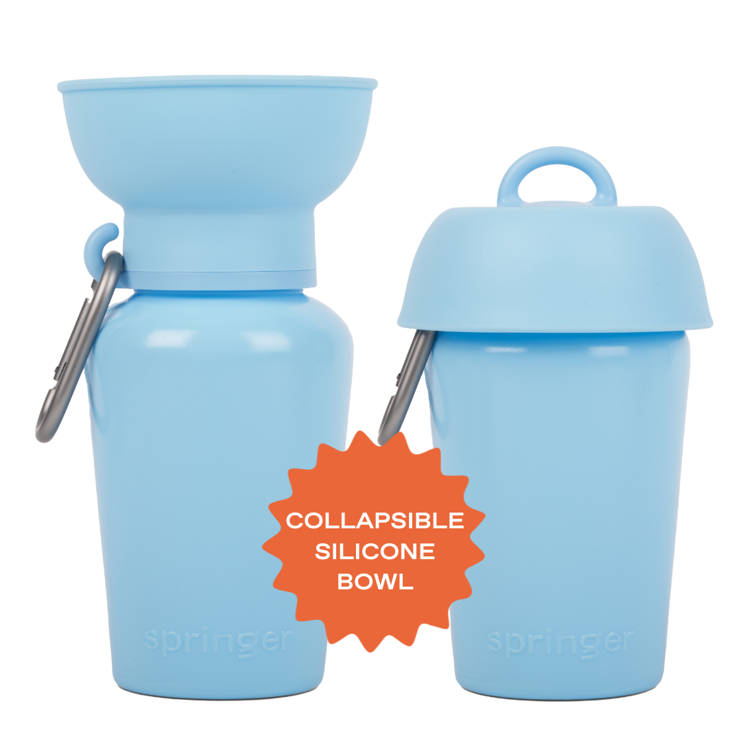 Gourde de voyage pliable pour chien