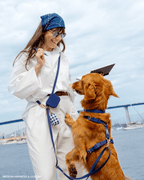 Harnais pour chien imperméable - Bleu marine