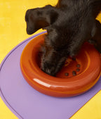 Gamelle en céramique rose pour chien M