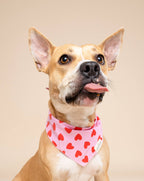 Bandana pour chien - Coeurs rouge et rose