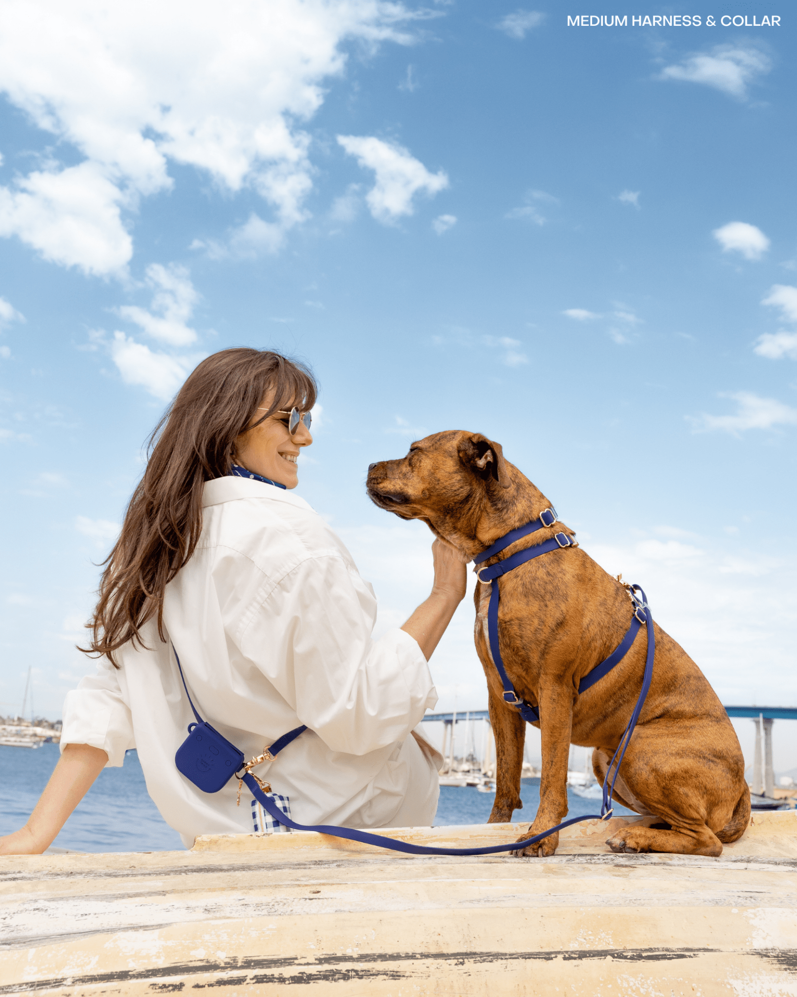 Harnais pour chien imperméable - Bleu marine