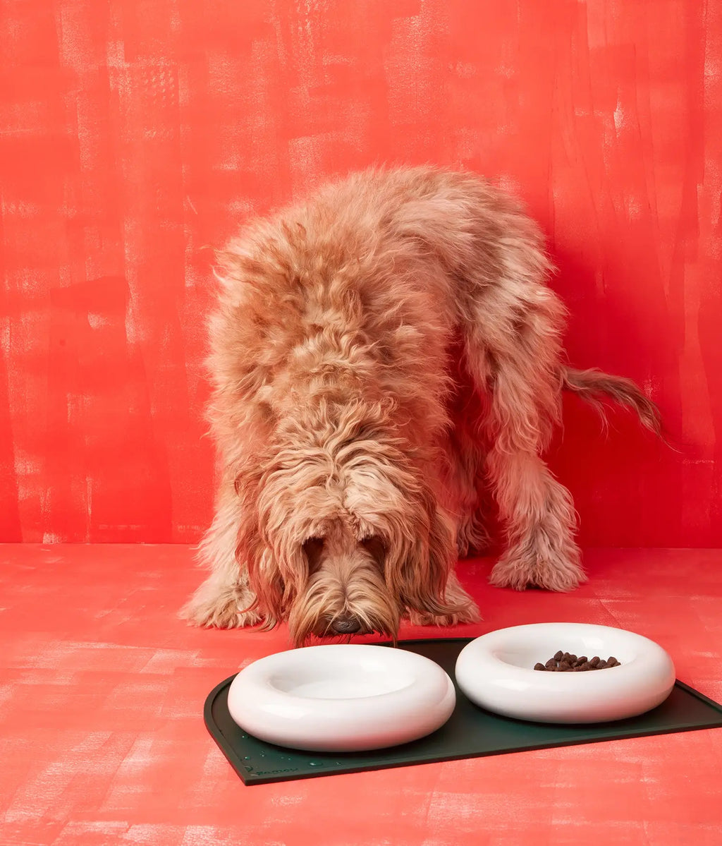 Gamelle en céramique rose pour chien M