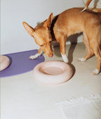 Mangeoire en céramique rose pour chien L