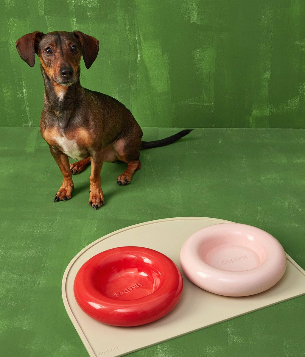 Gamelle en céramique rose pour chien M