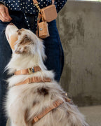 Harnais pour chien imperméable - Beige Latte
