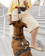 Harnais pour chien imperméable - Noir