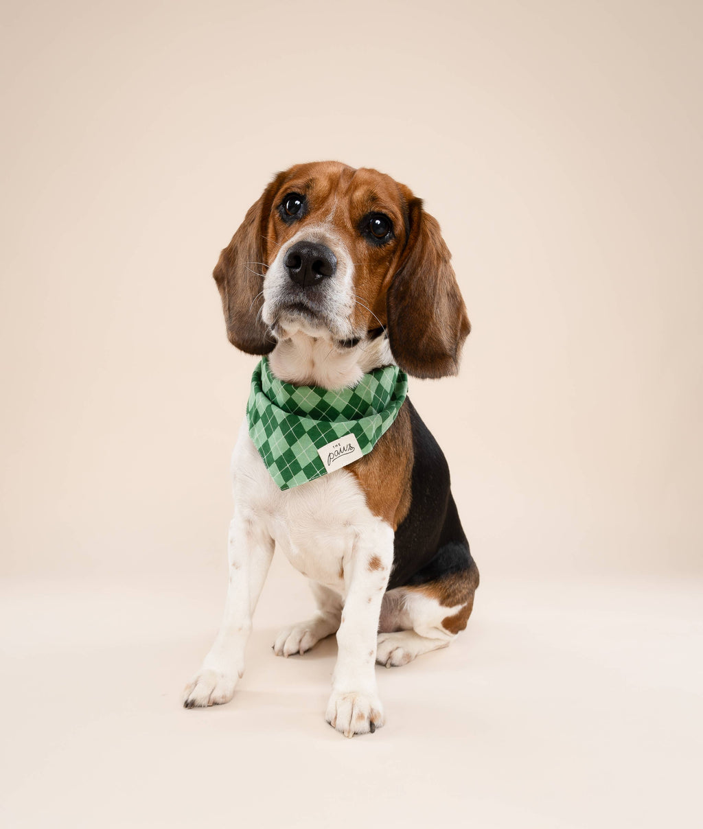 Bandana pour chien - Tartan vert