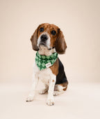 Bandana pour chien - Tartan vert