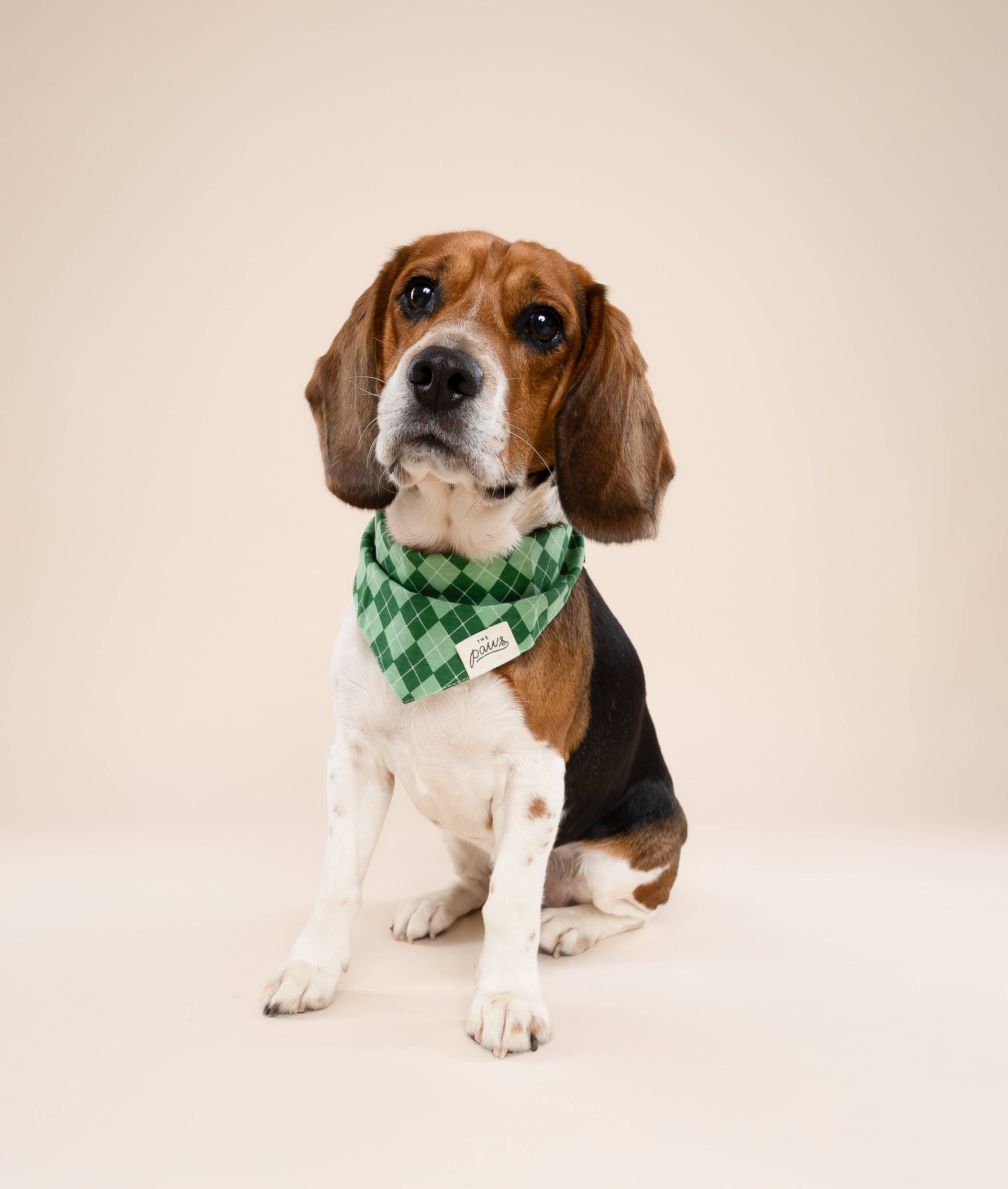 Bandana pour chien - Tartan vert