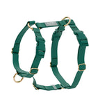 Harnais pour chien imperméable - Vert Sapin