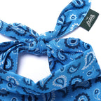 Bandana pour chien - Bleu