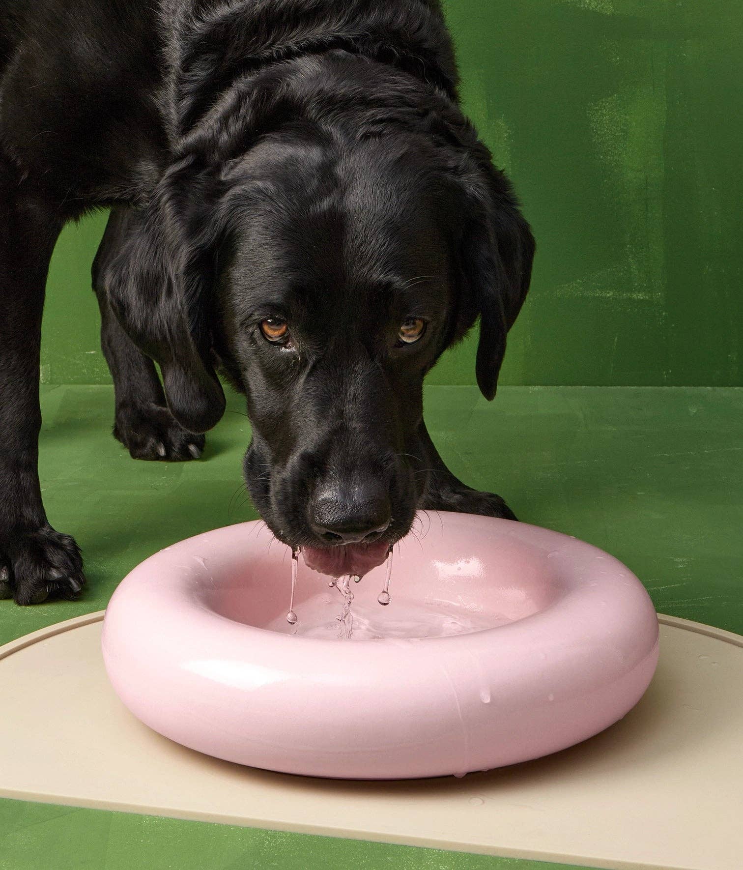 Mangeoire en céramique rose pour chien L