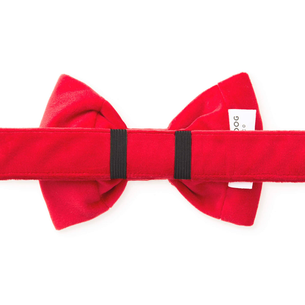 Nœud papillon pour chien en velours