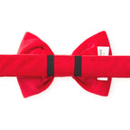 Nœud papillon pour chien en velours