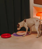 Gamelle en céramique rose pour chien M