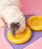 Gamelle en céramique rose pour chien M