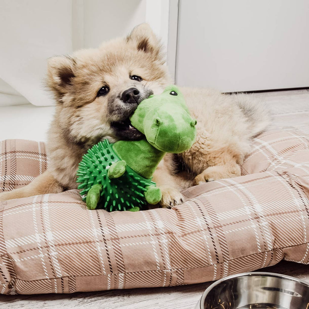 Jouet pour chien avec couineur - Dino
