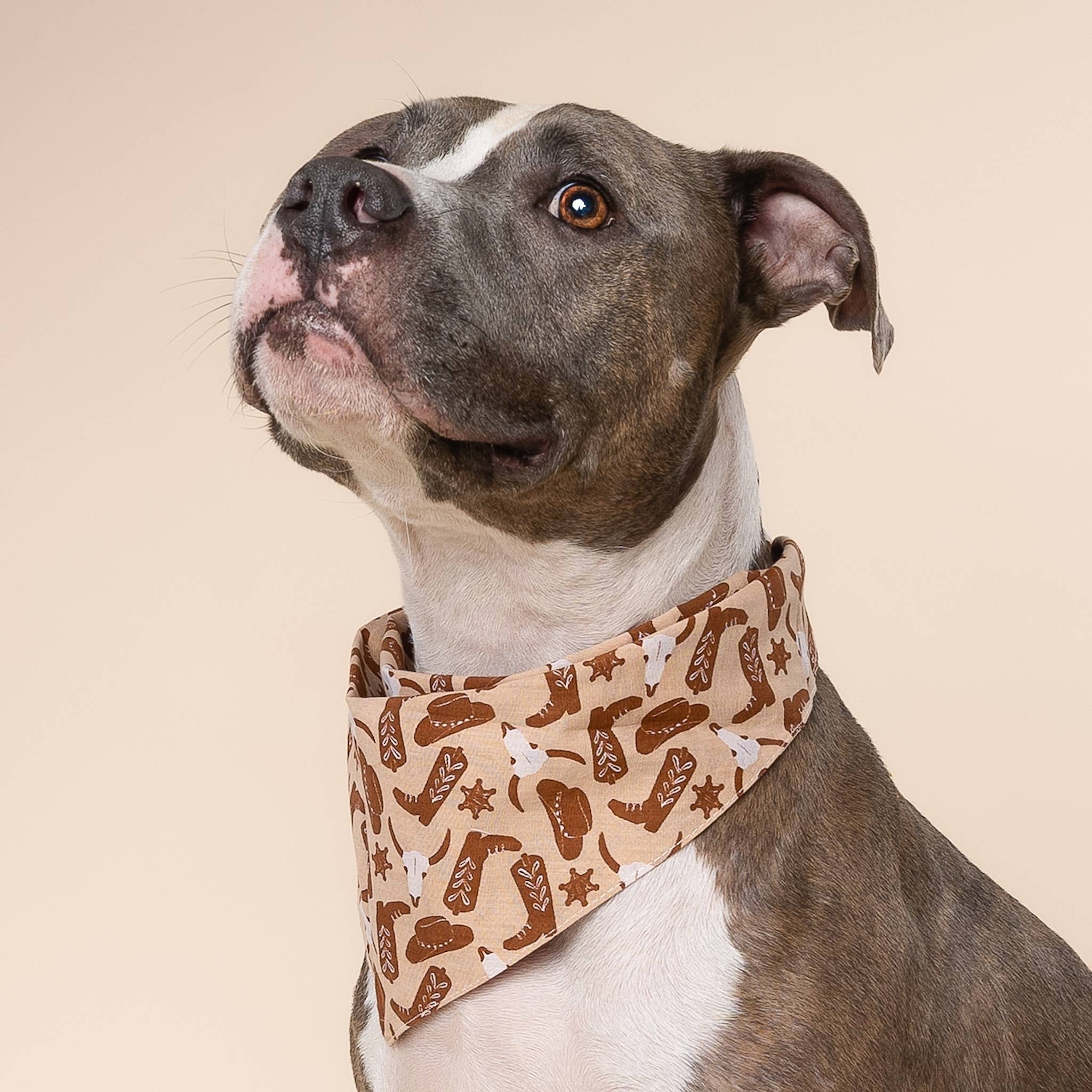 Bandana pour chien - Cow-boy