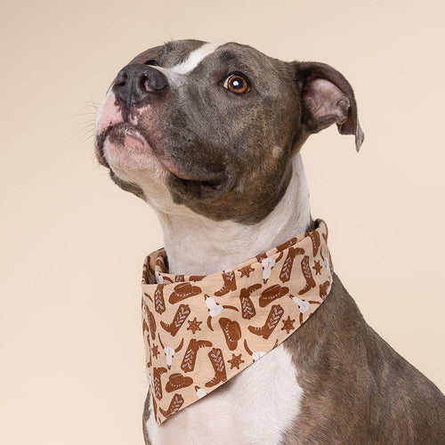 Bandana pour chien - Cow-boy