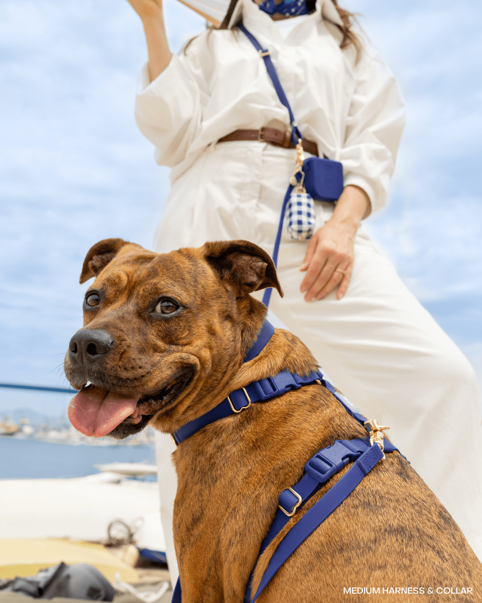 Harnais pour chien imperméable - Bleu marine