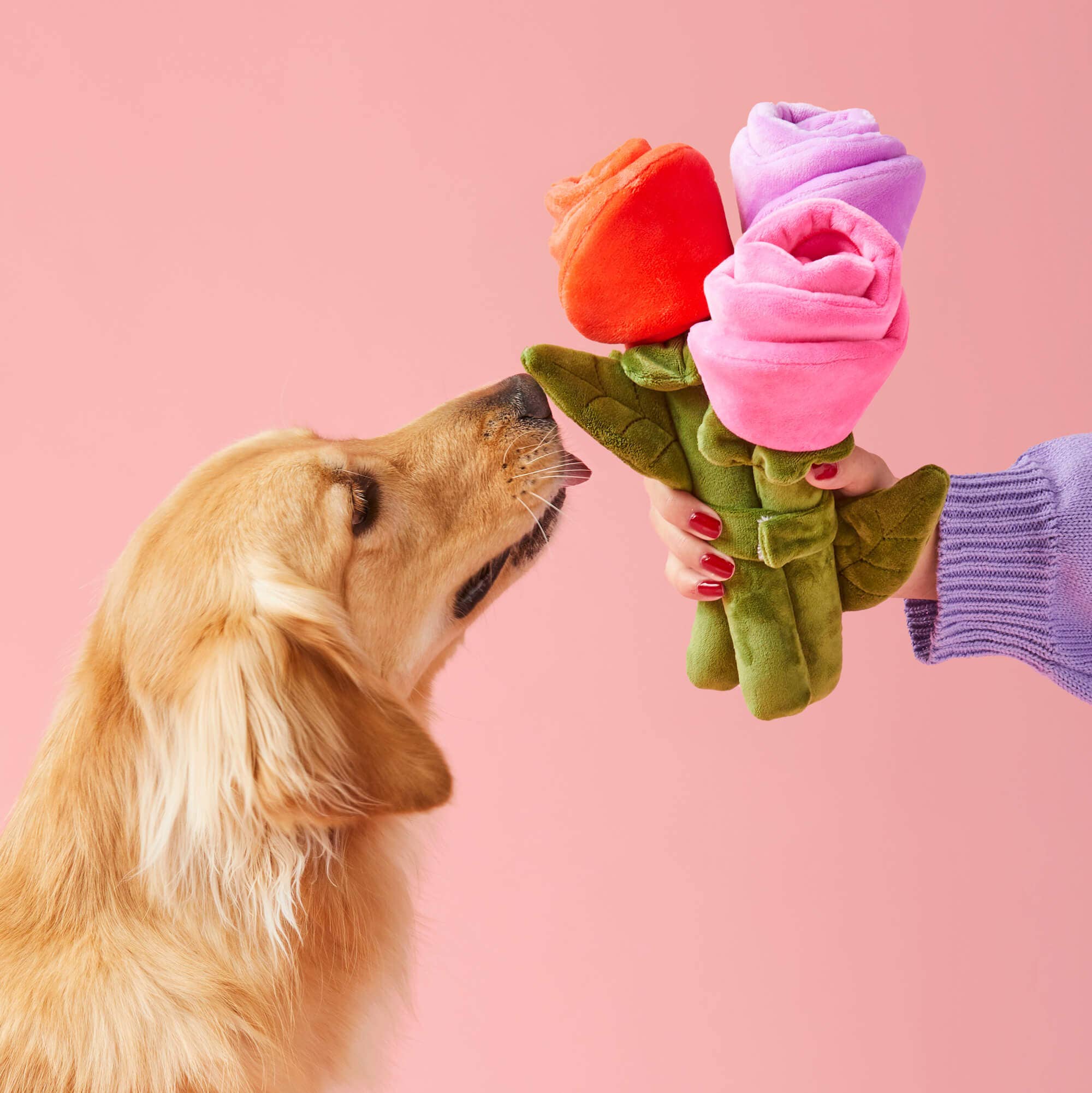 Jouet de fouille - Bouquet de roses