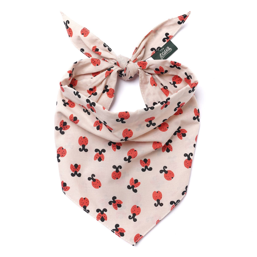 Bandana pour chien - Coccinelle