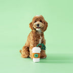 Jouet Pupcoffee