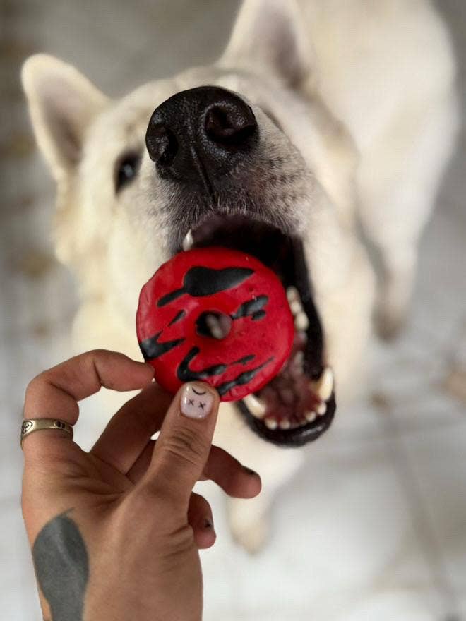 Beignets vampires - Friandises d'Halloween pour chien