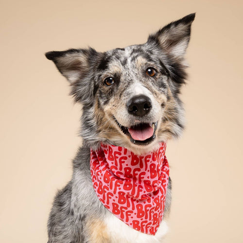 Bandana pour chien - BFF rouge et rose