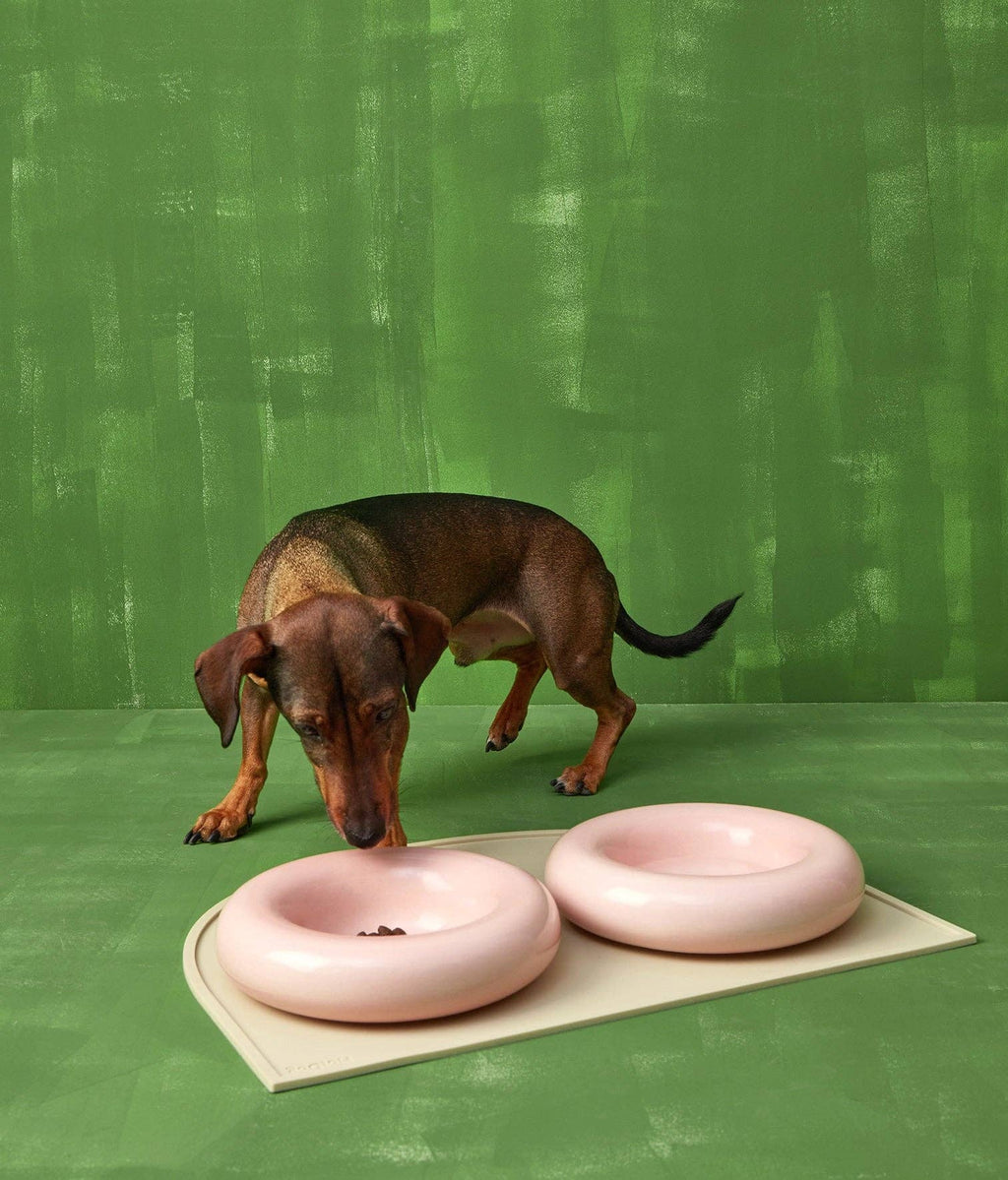 Gamelle en céramique rose pour chien M