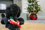 Jouet Peluche Truck de Noël