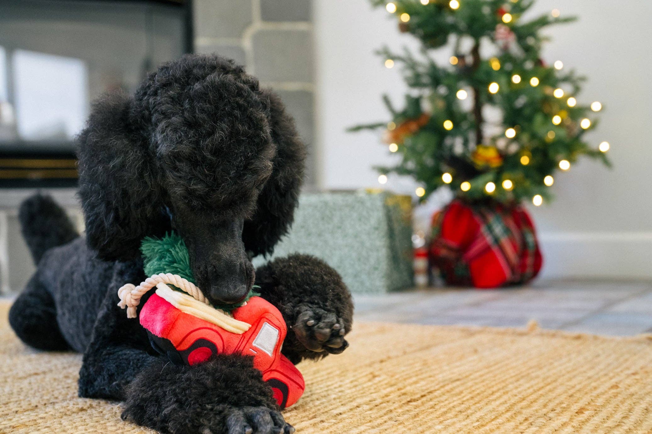 Jouet Peluche Truck de Noël