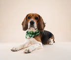 Bandana pour chien - Tartan vert