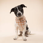 Bandana pour chien Ginger à carreaux orange soleil