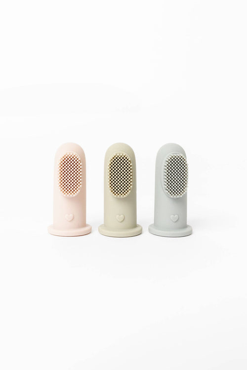 Brosse à dents pour chien