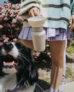 Gourde de voyage pliable pour chien