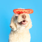 Jouet de fouille Hot Doggie