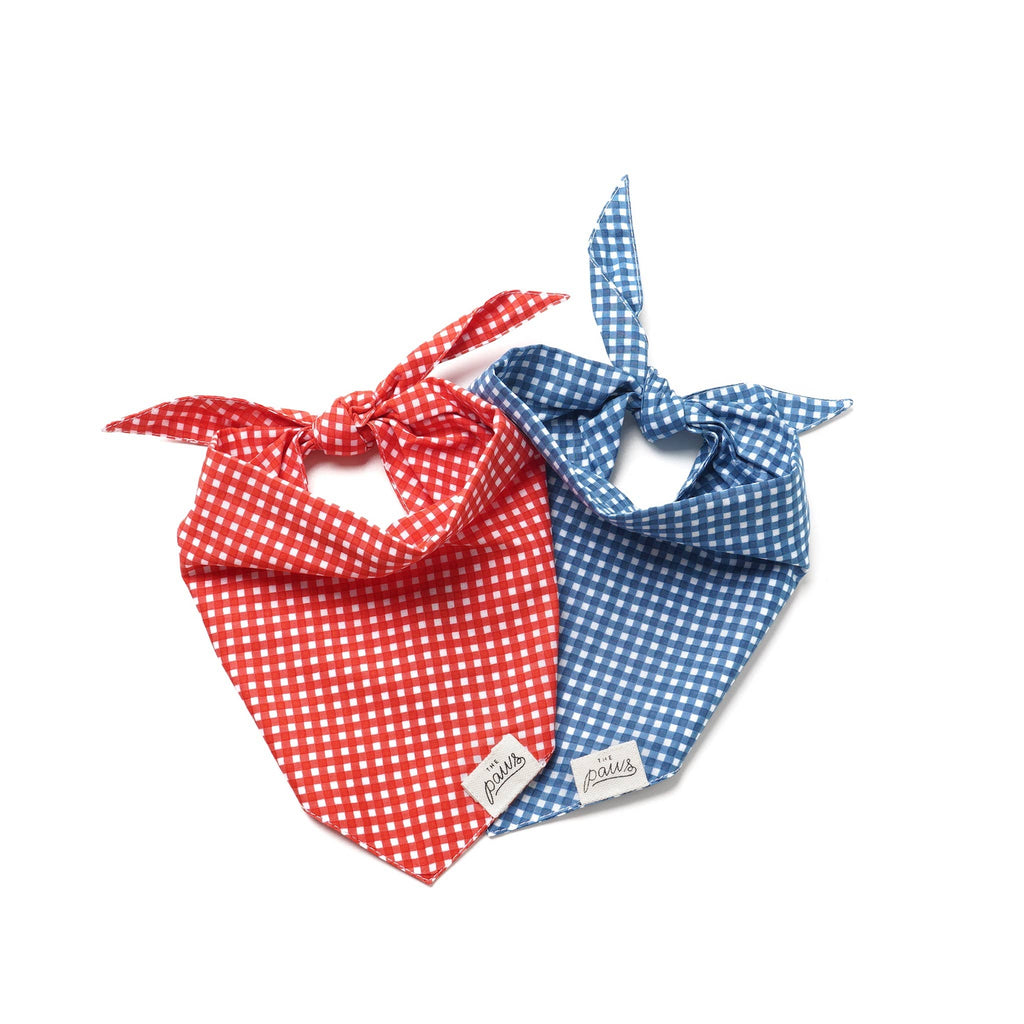 Bandana pour chien - Vichy Bleu