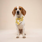 Bandana pour chien - Smile