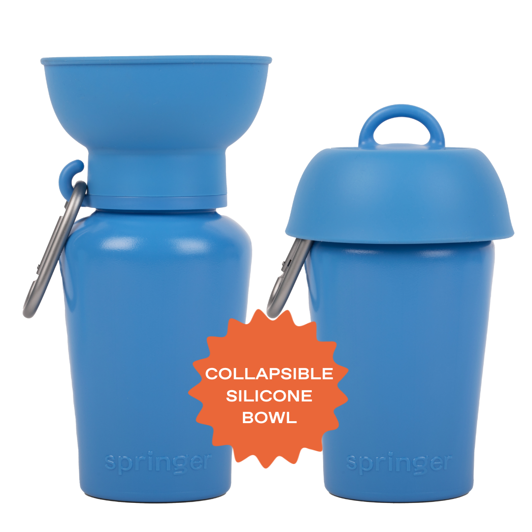 Gourde de voyage pliable pour chien