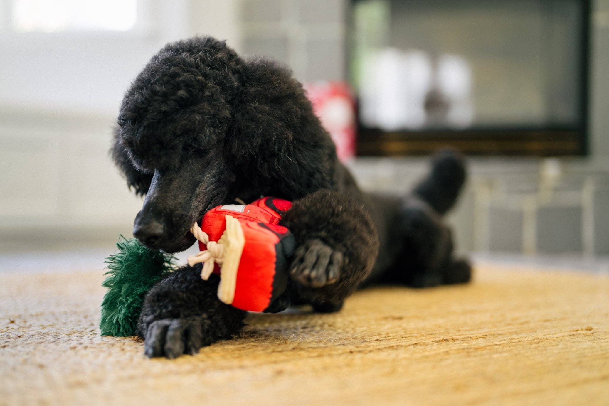 Jouet Peluche Truck de Noël