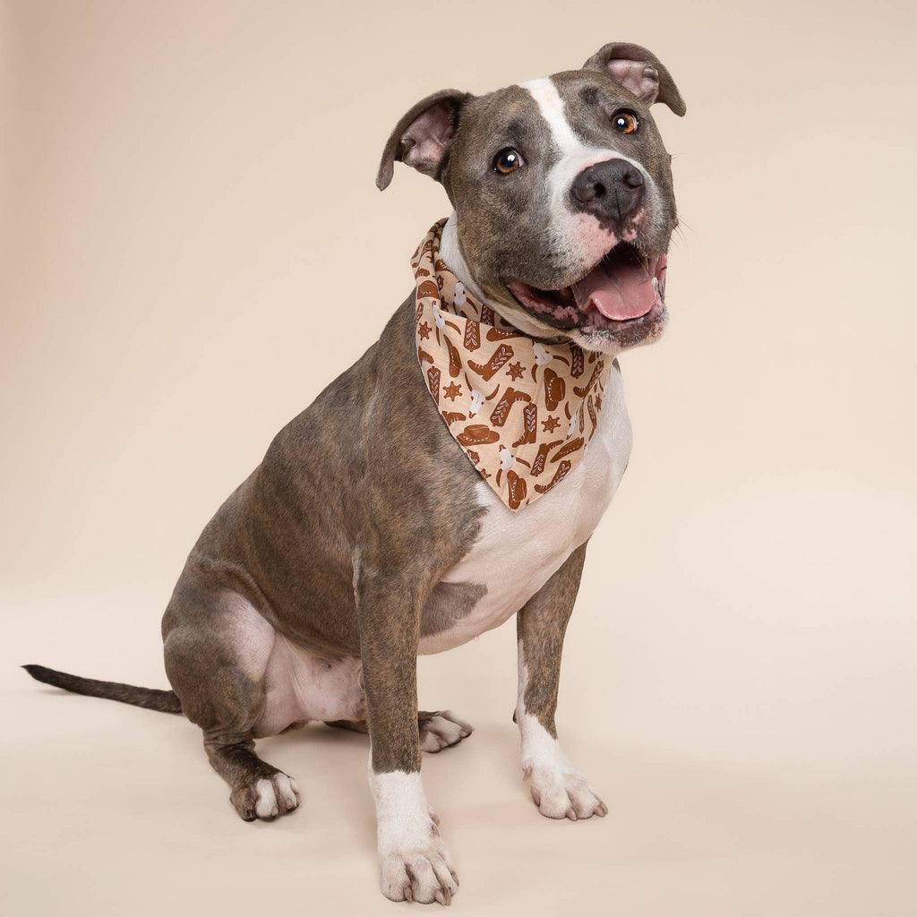 Bandana pour chien - Cow-boy