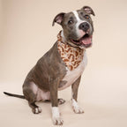 Bandana pour chien - Cow-boy