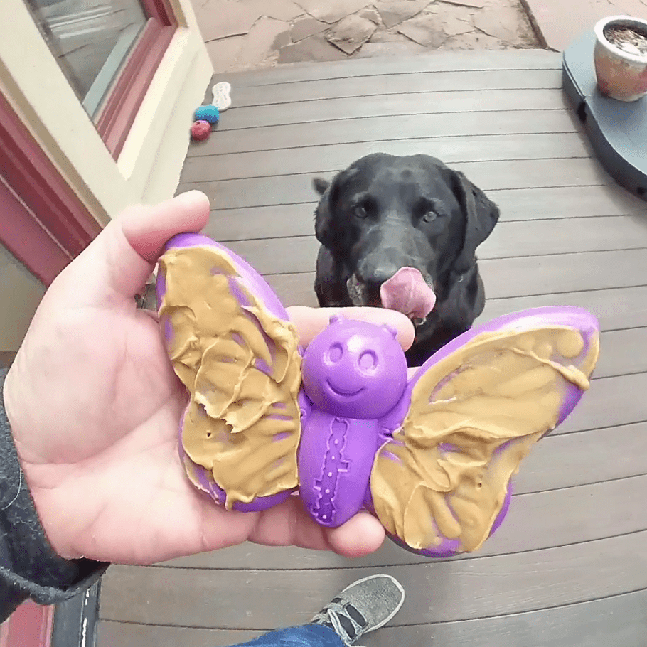 Jouet à mâcher Papillon en nylon résistant