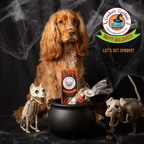 Beignets vampires - Friandises d'Halloween pour chien