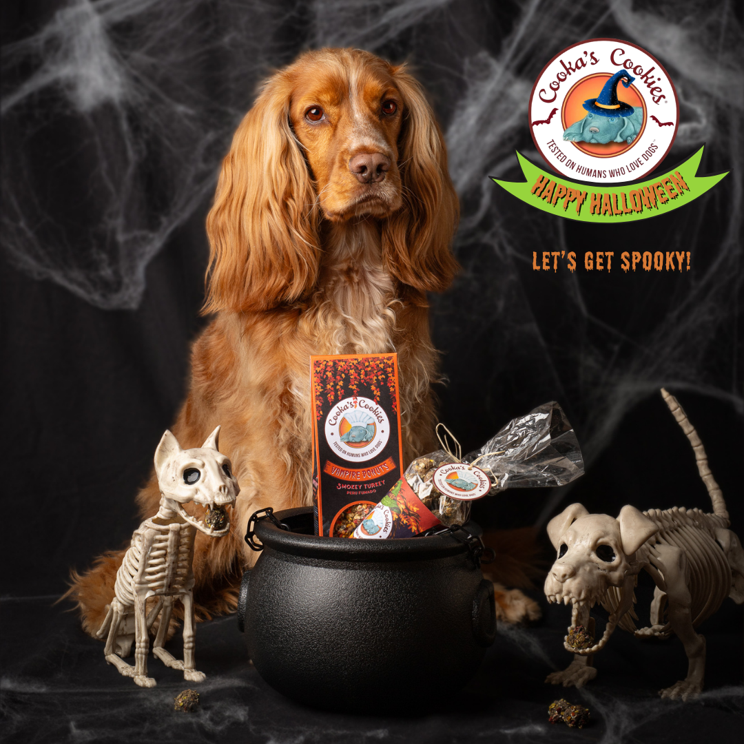 Beignets vampires - Friandises d'Halloween pour chien